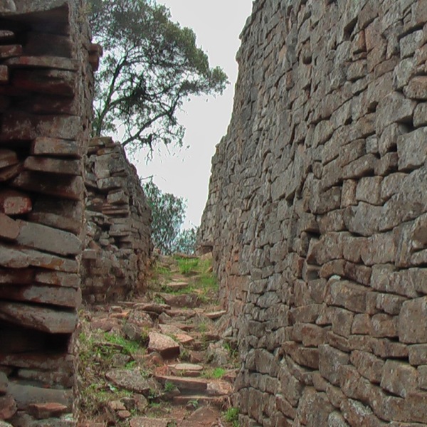Erlebnis-Reisen Simbabwe Victoria Hwange Tierwelt